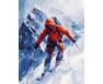 Adrenalin auf der Piste 40x50 cm malen nach zahlen
