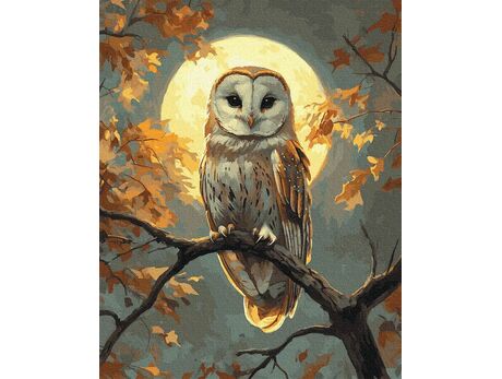 Goldenes Auge der Nacht 40x50 cm malen nach zahlen