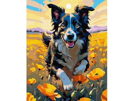 Geist in Bewegung, Körper im Flug 40x50 cm malen nach zahlen