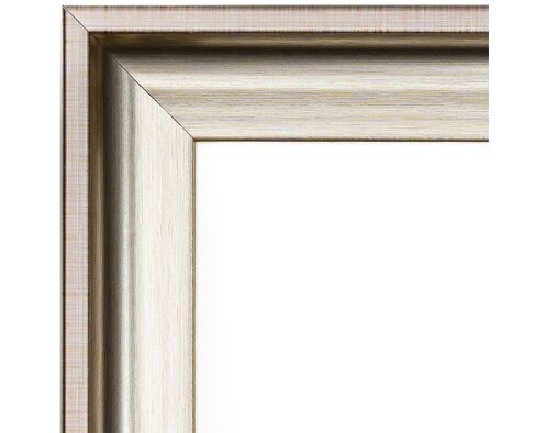 Bilderrahmen für 40x50cm Leinwand Metallic Champagner 2035