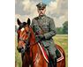 Marschall Piłsudski in der Natur 40x50 cm malen nach zahlen