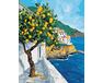 Goldene Früchte Griechenlands 50x65 cm malen nach zahlen