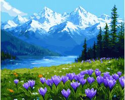 Stille der Kościeliska 50x65 cm