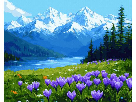 Stille der Kościeliska 50x65 cm malen nach zahlen