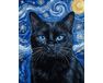 Schwarze Katze, beleuchtet von einer Sternennacht 40x50 cm malen nach zahlen