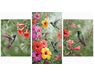Wunderschöne fliegende Kolibris Triptychon 70x120 cm malen nach zahlen