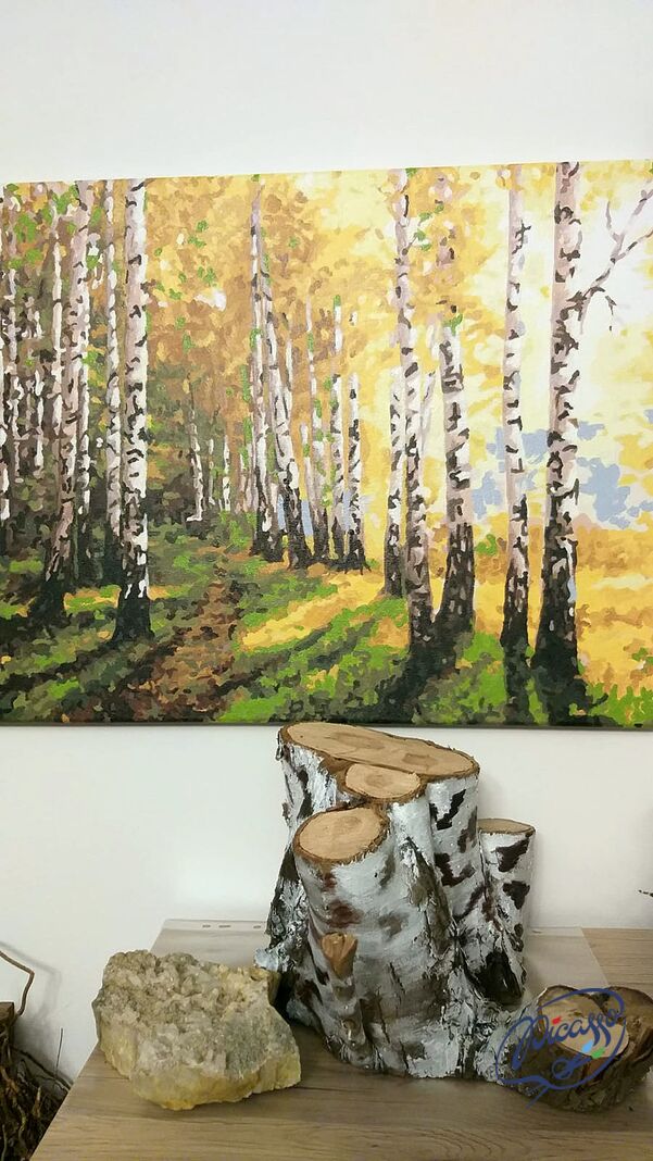 Sonnige Birken 40x50 cm