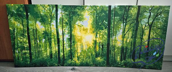 Sonne im Wald